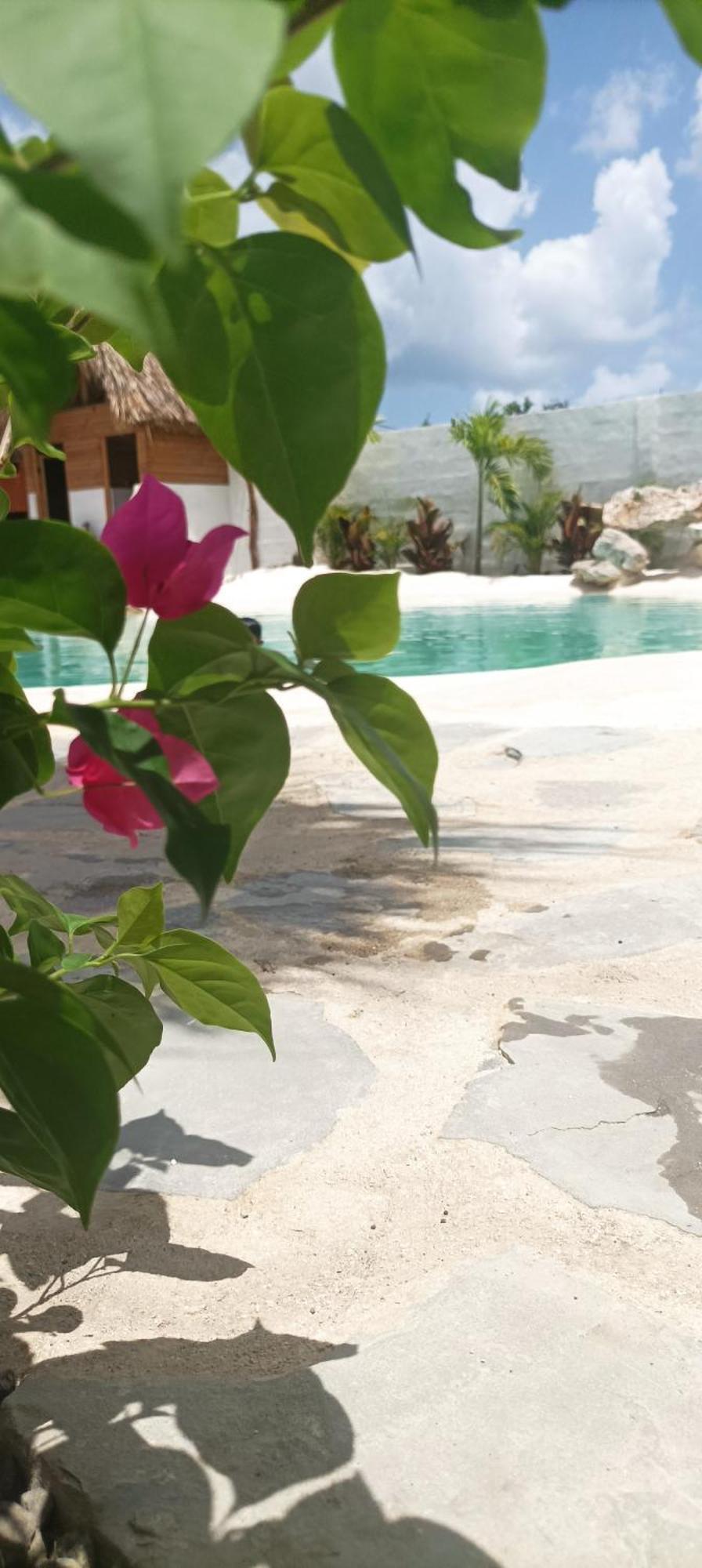 Blue Beach Eco-Hotel By Sanfabini Bayahibe Ngoại thất bức ảnh