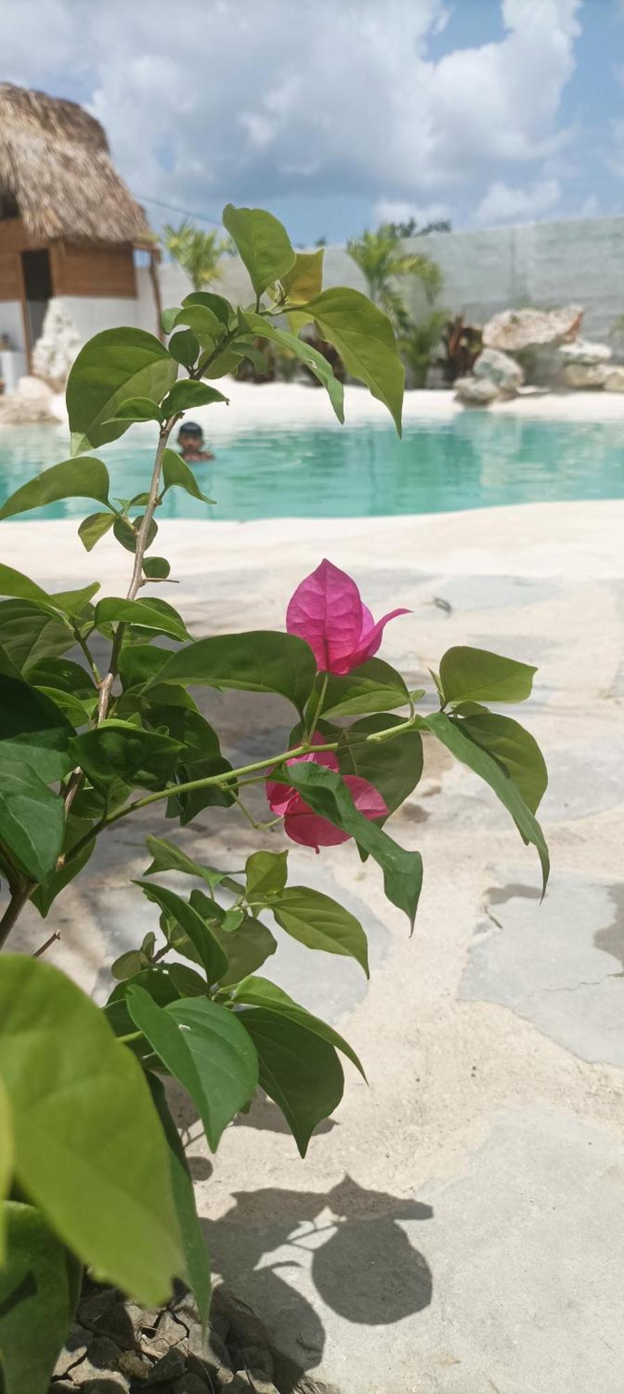 Blue Beach Eco-Hotel By Sanfabini Bayahibe Ngoại thất bức ảnh